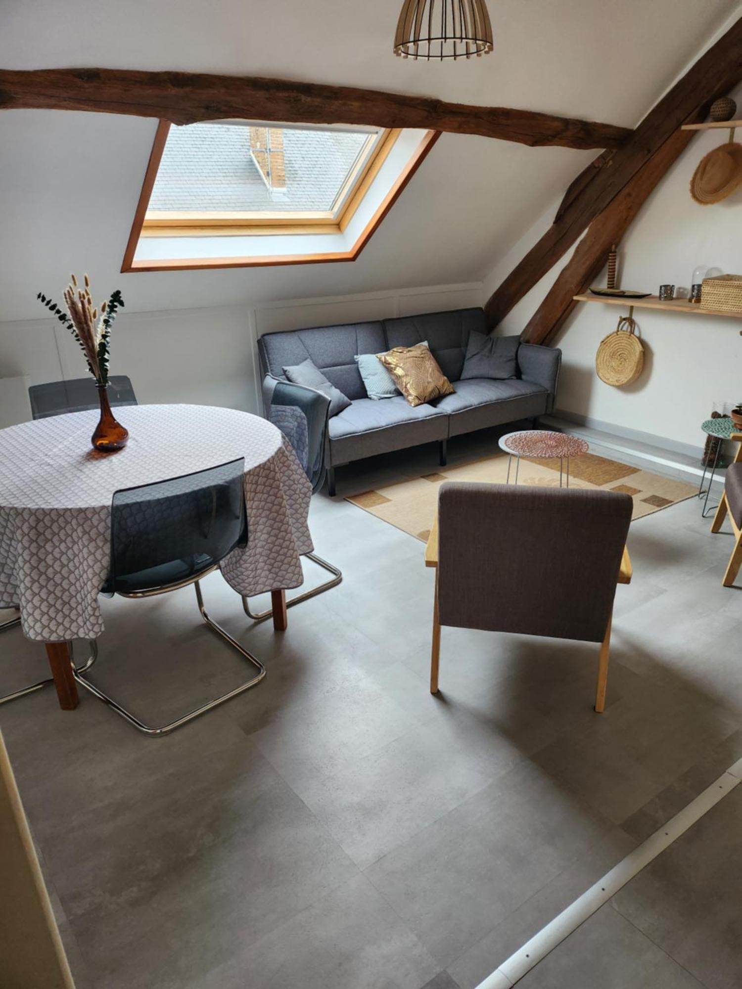L'Escale Solognote Apartman Tour-en-Sologne Kültér fotó